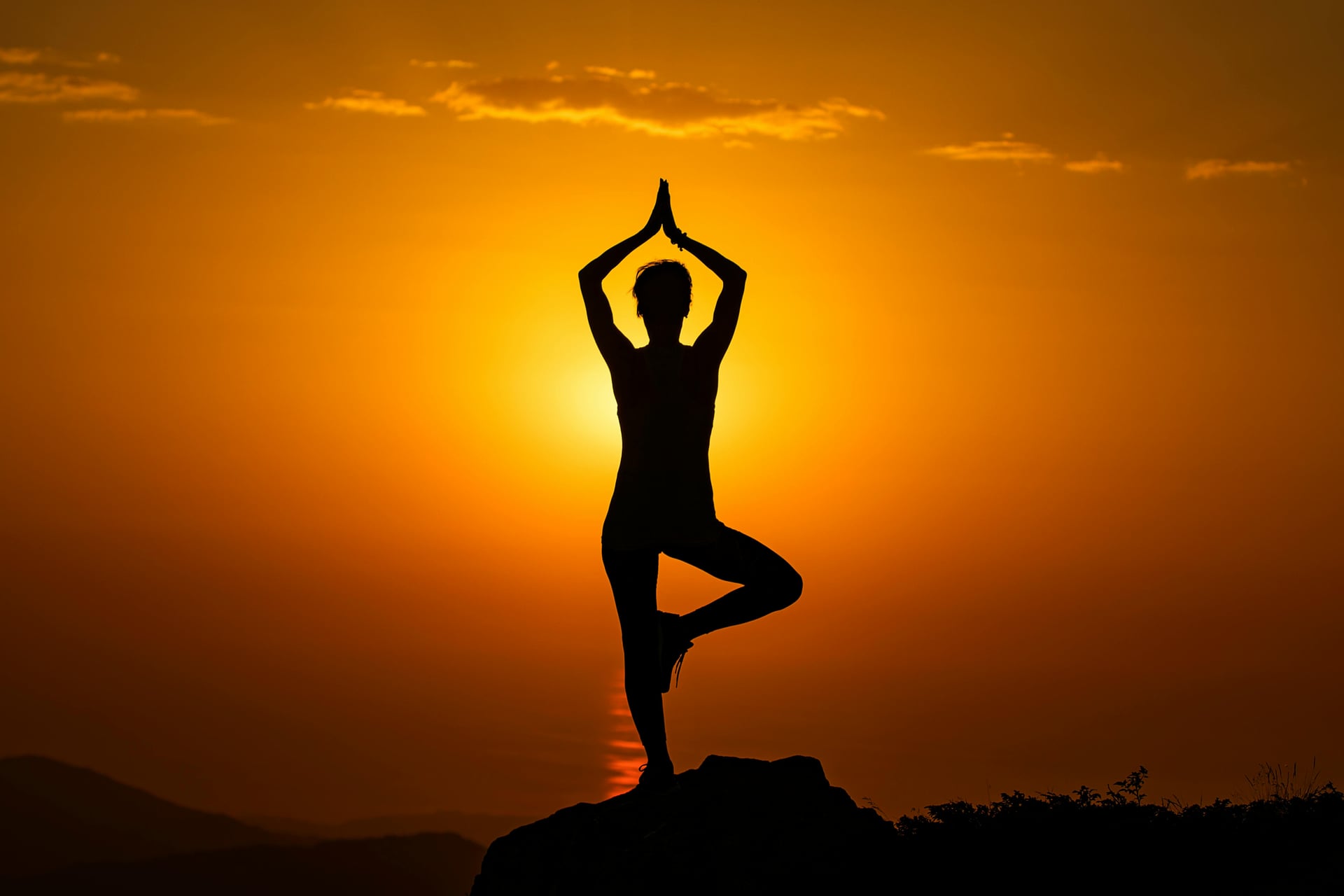 Traditional Ayurvedic herbs and natural medicines